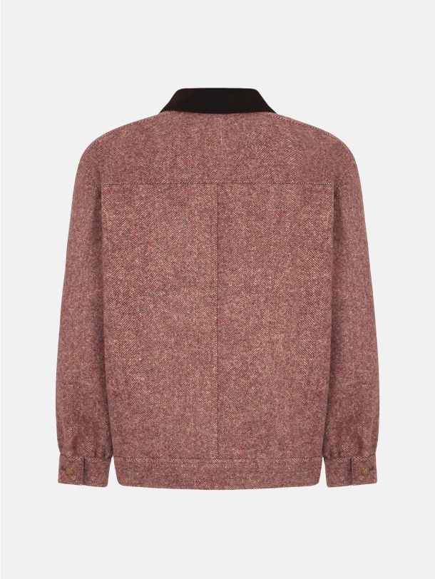 ARCTIC PINK - Blazé Milano