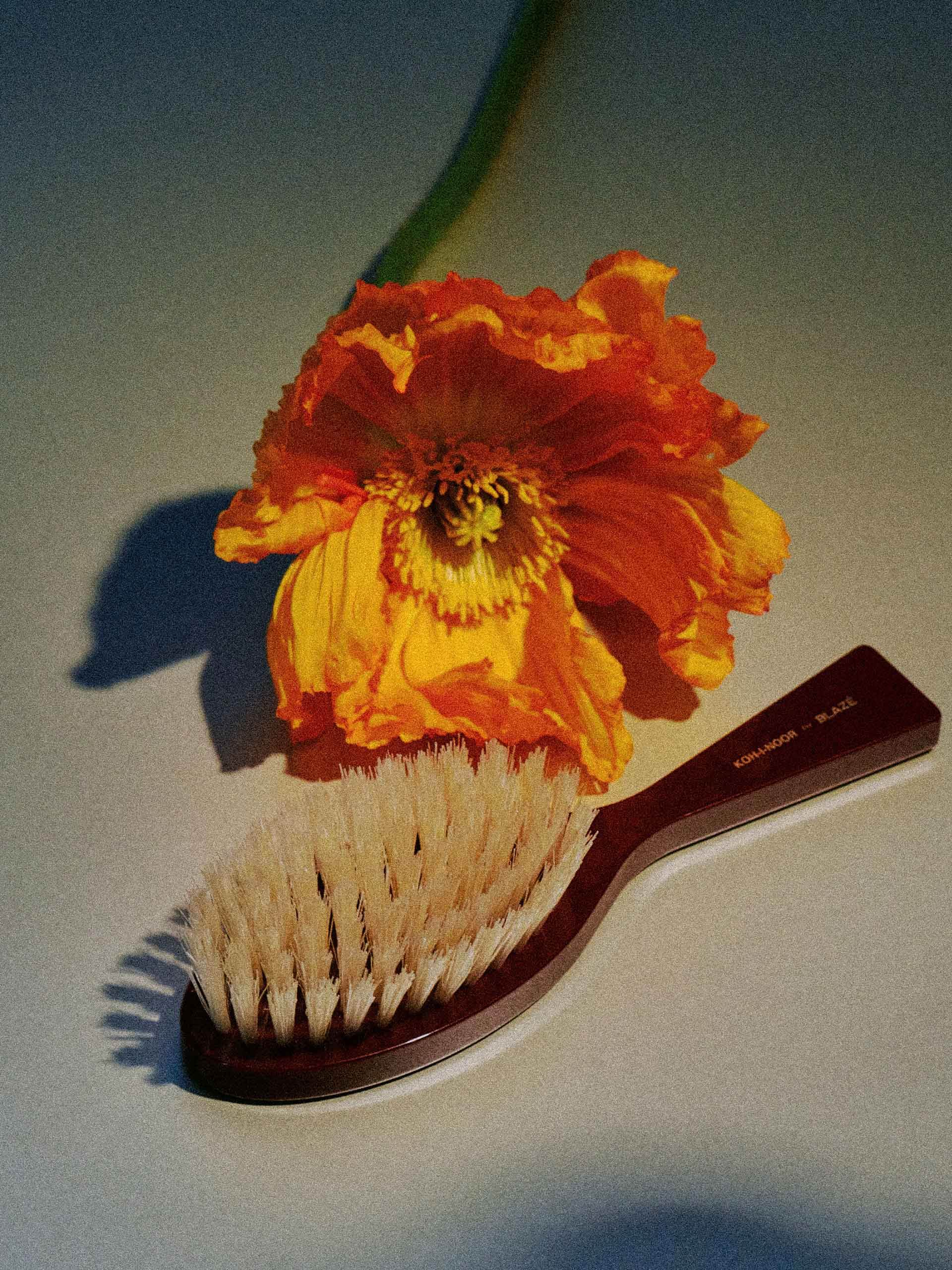 KOH-I-NOOR FOR BLAZÉ - Blazé Milano