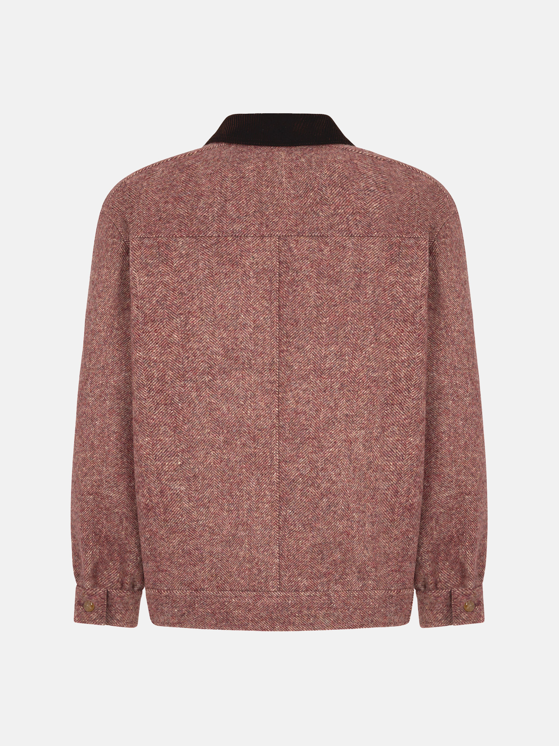 ARCTIC PINK - Blazé Milano