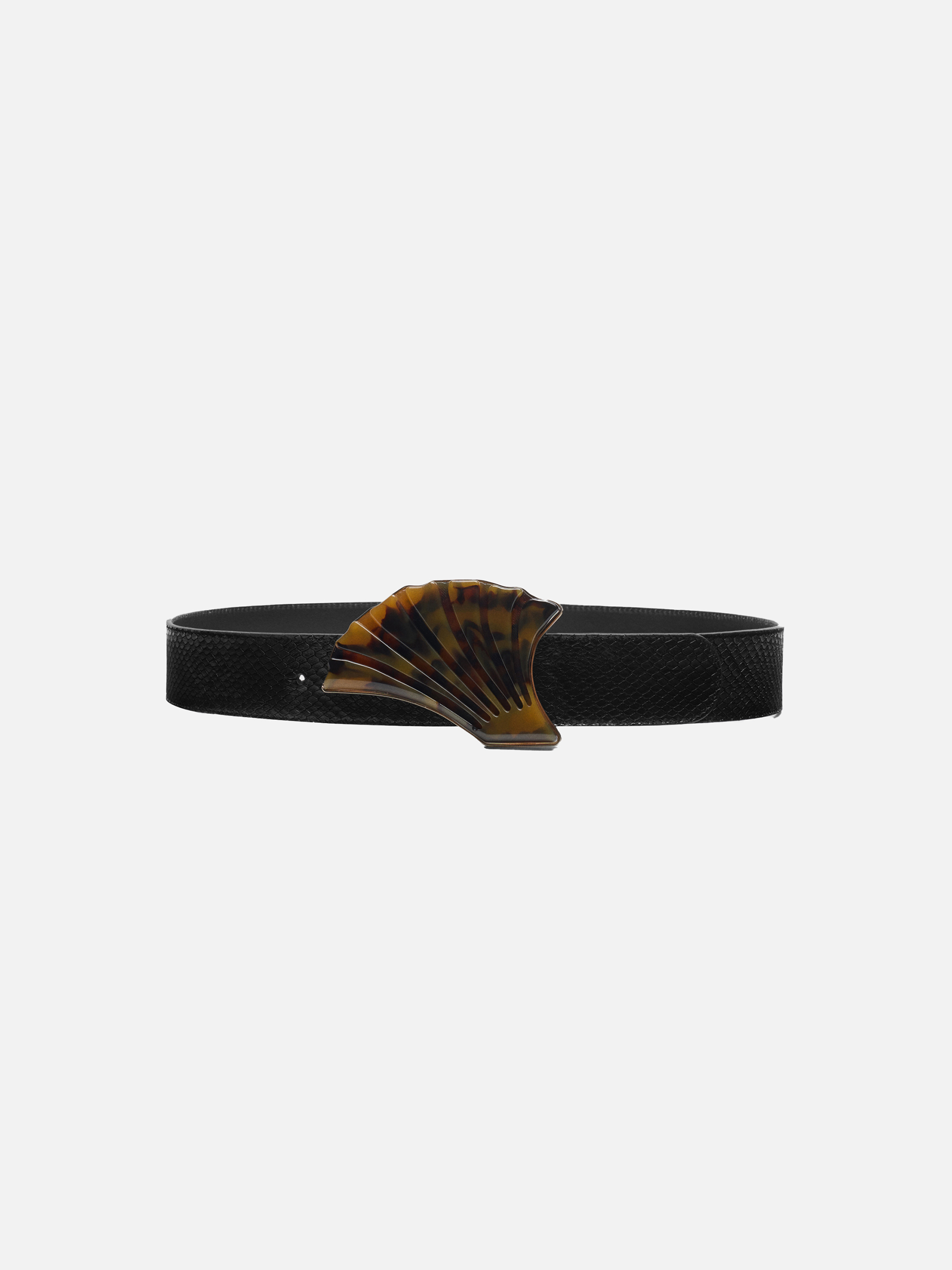TURTLE&BLACK - Blazé Milano